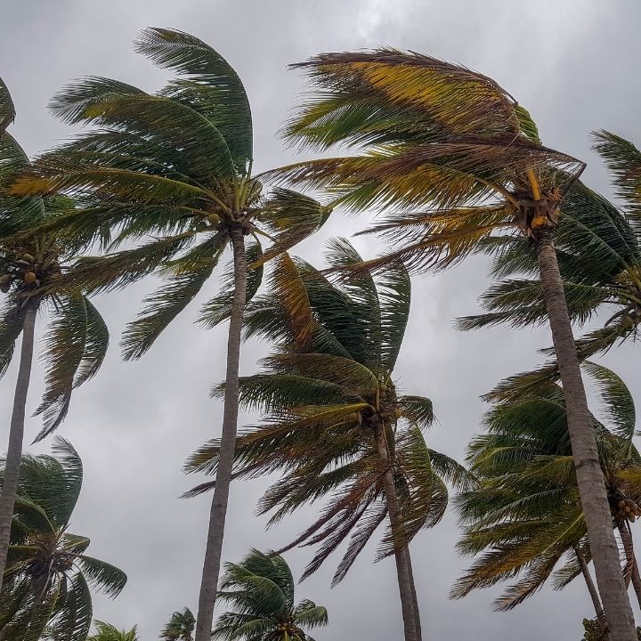 effects of wind on a home inspection in fort lauderdale florida